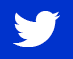 Twitter Logo